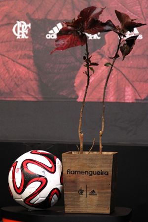 A Acalypha wilkesiana serviu de inspiração para os detalhes da camisa do Fla | Gilvan de Souza / Flamengo