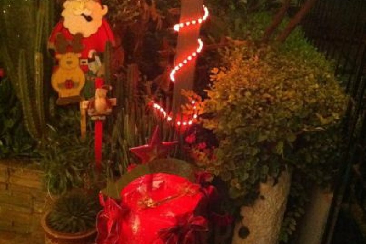 [FOTOS] Familia transforma su casa en "La casa del Viejo Pascuero" para