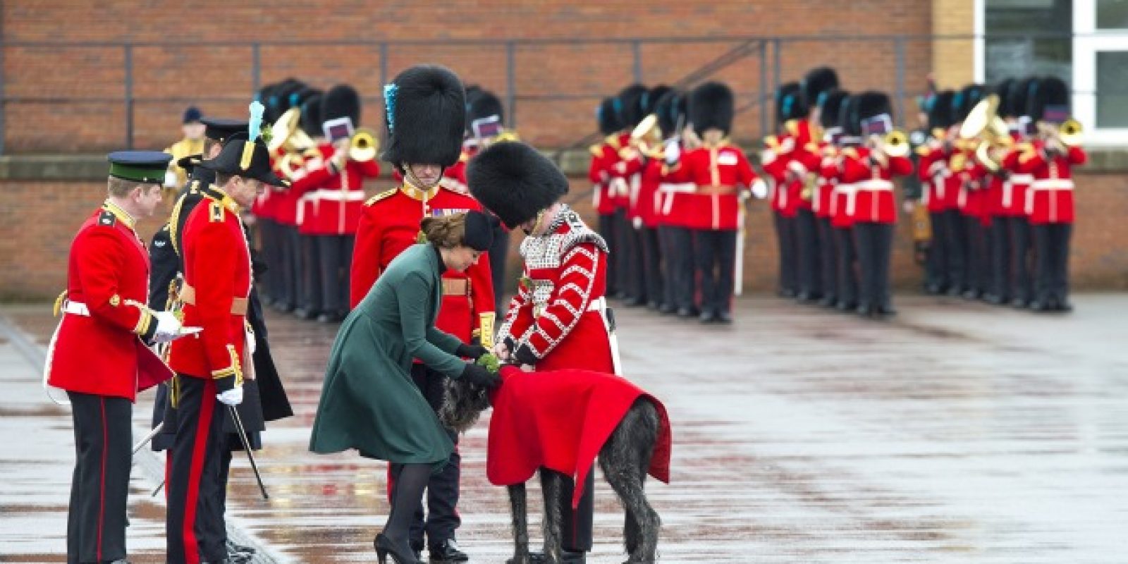 © 2013 Getty Images. Imagen Por:
