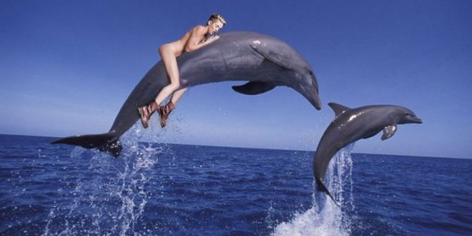 . Imagen Por: