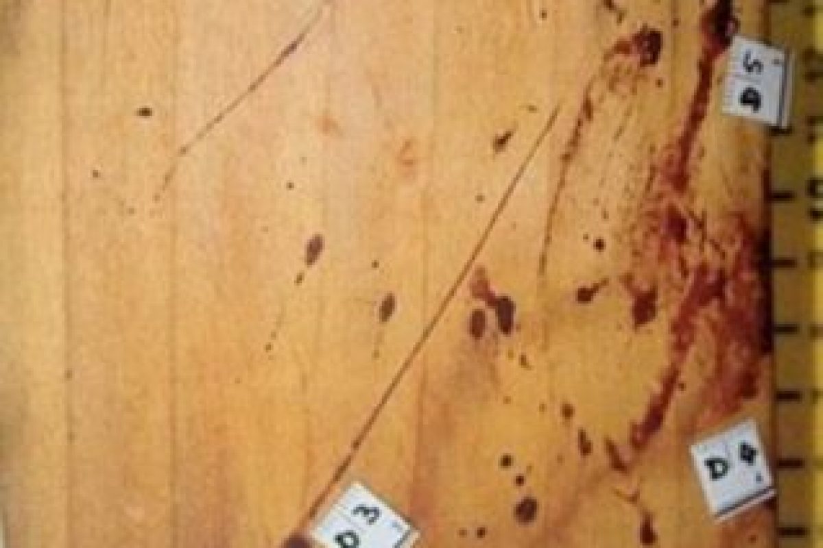 Caso Pistorius: Imágenes del crimen de Reeva Steenkamp revelan la