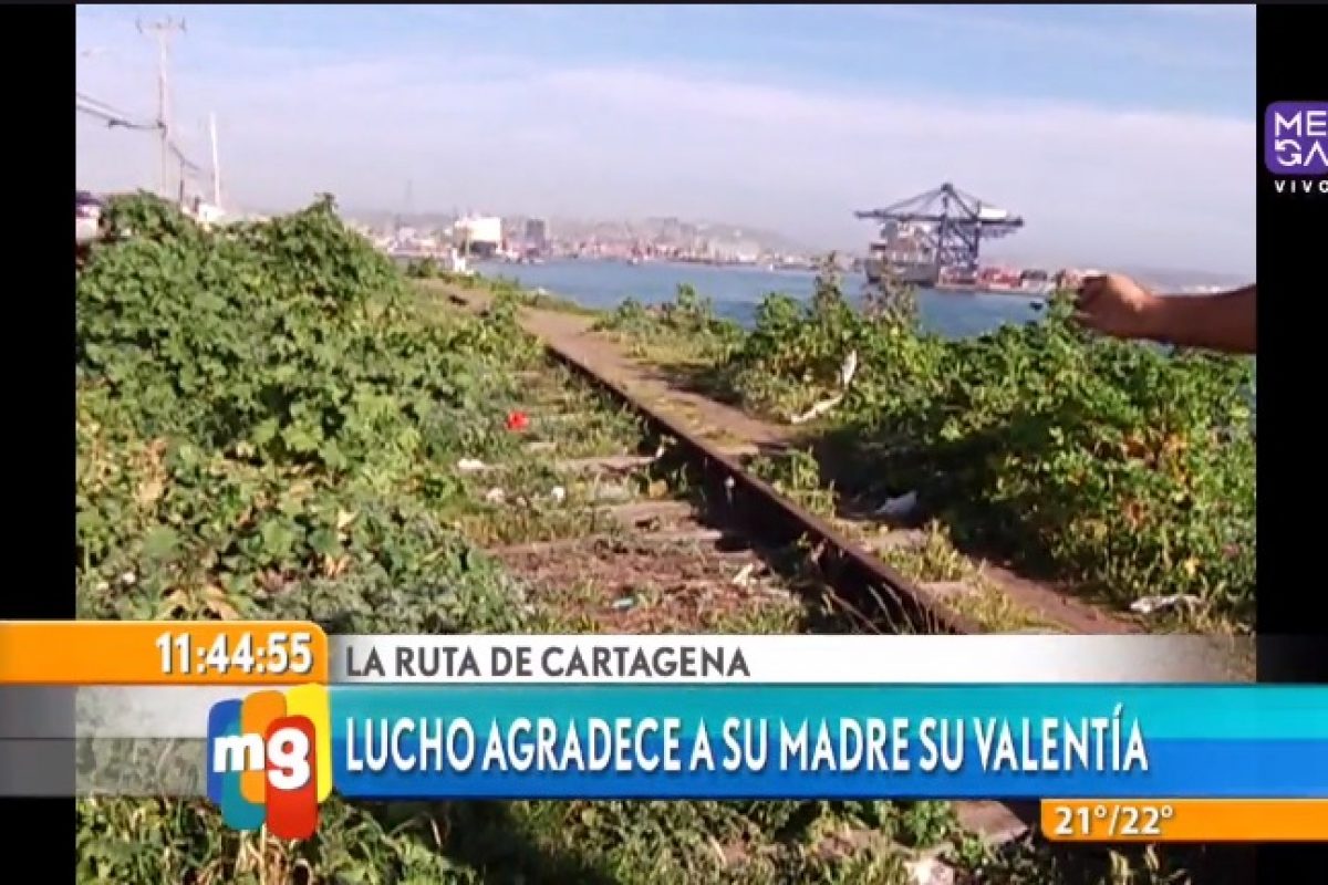 . Imagen Por: