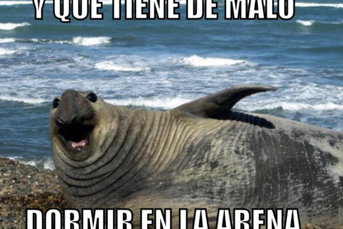 . Imagen Por: