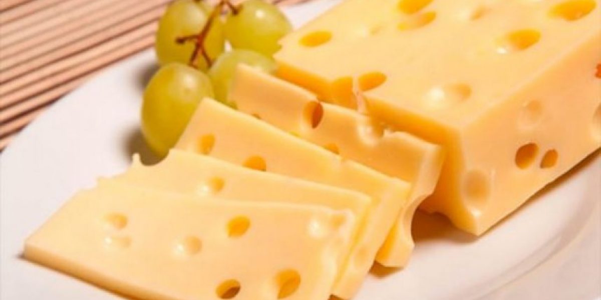 Resultado de imagen de queso suizo