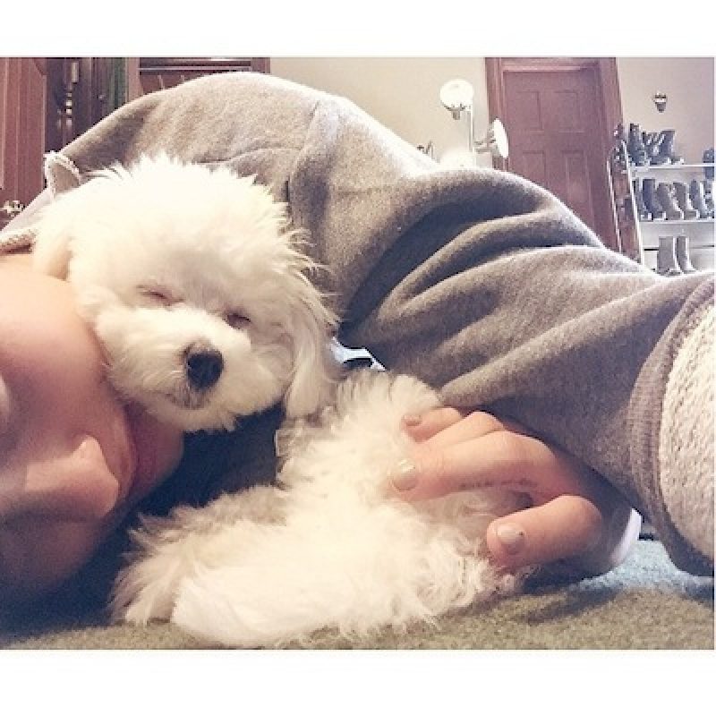 . Imagen Por: Instagram/DemiLovato