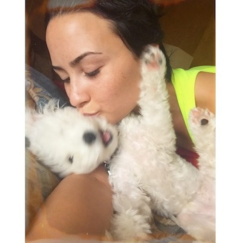 . Imagen Por: Instagram/DemiLovato