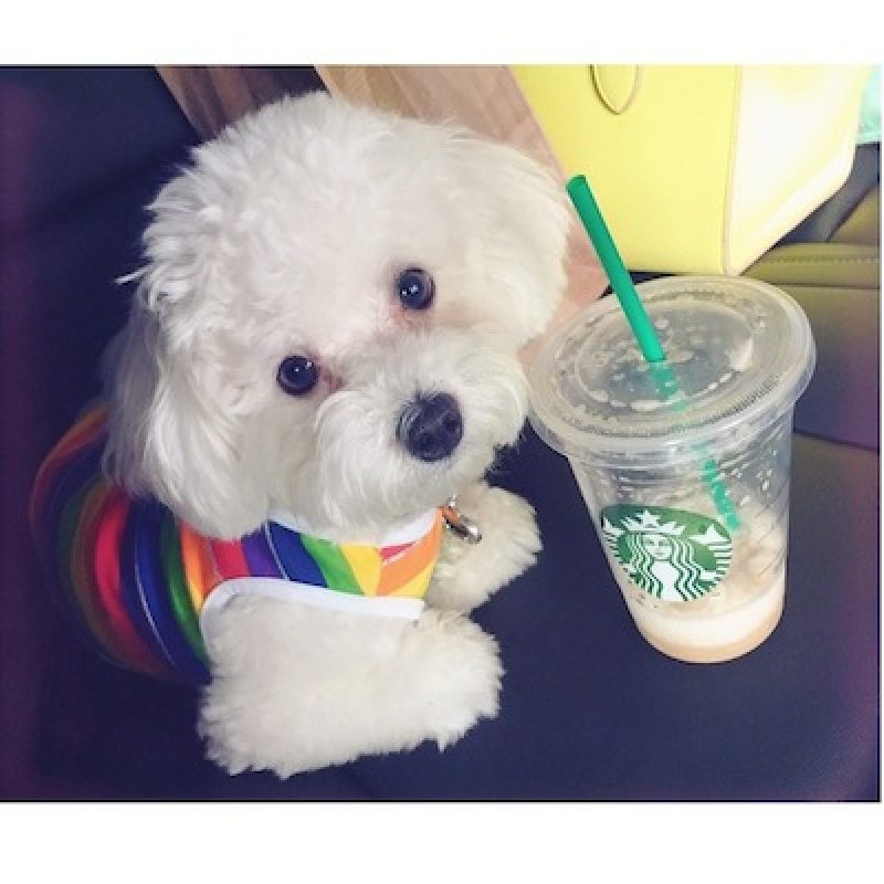 . Imagen Por: Instagram/DemiLovato