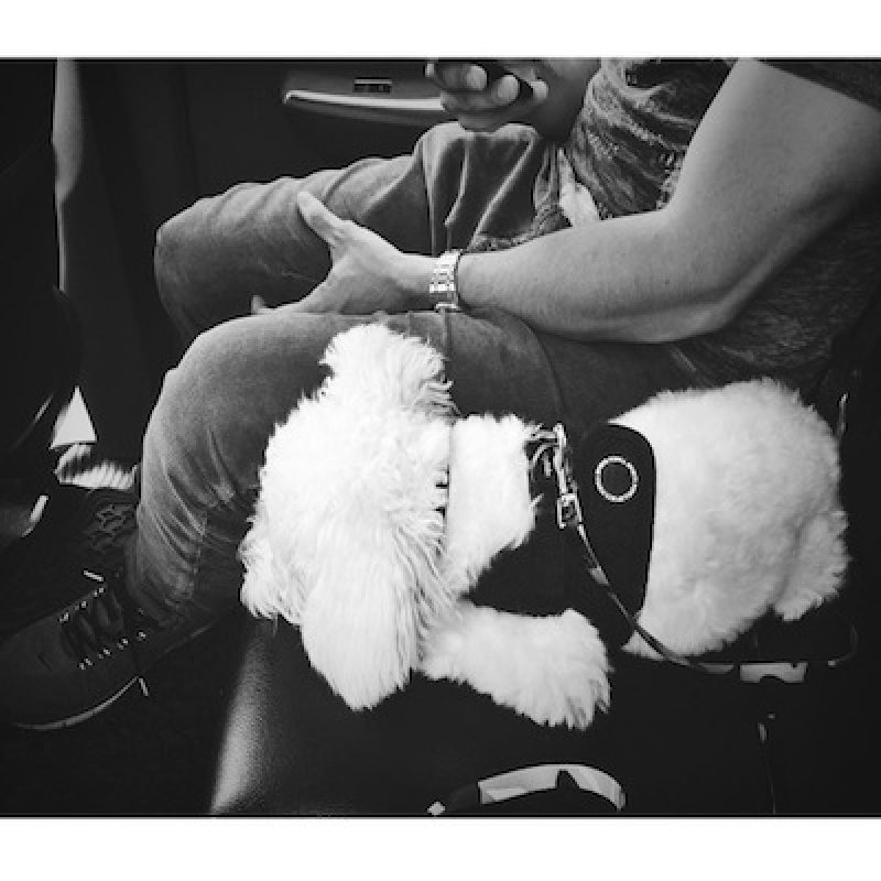 . Imagen Por: Instagram/DemiLovato