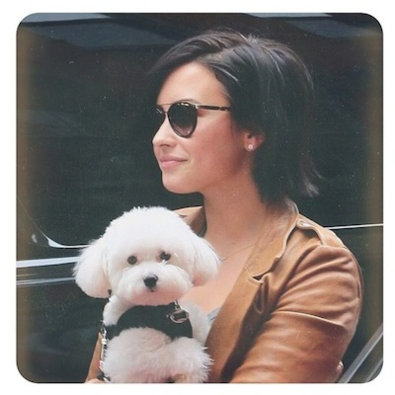 . Imagen Por: Instagram/DemiLovato