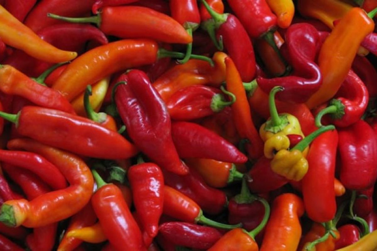 Beneficios del aji picante para adelgazar Beneficios del aji picante para adelgazar