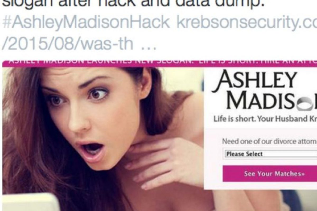 Ashley Madison Tits