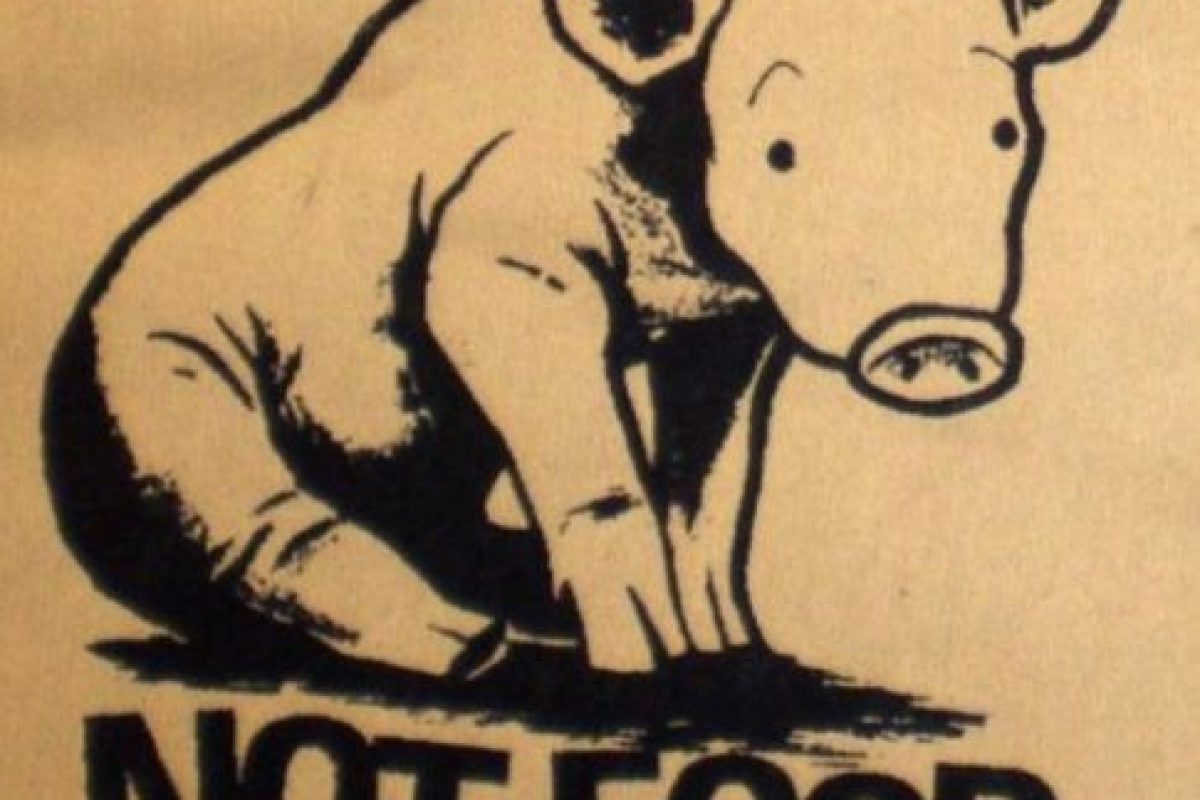 Esto es lo que sucede con el cuerpo al no consumir carne Esto es lo que sucede con el cuerpo al no consumir carne