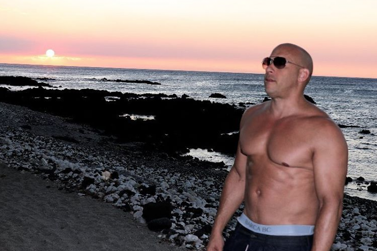. Imagen Por: Vía instagram.com/vindiesel