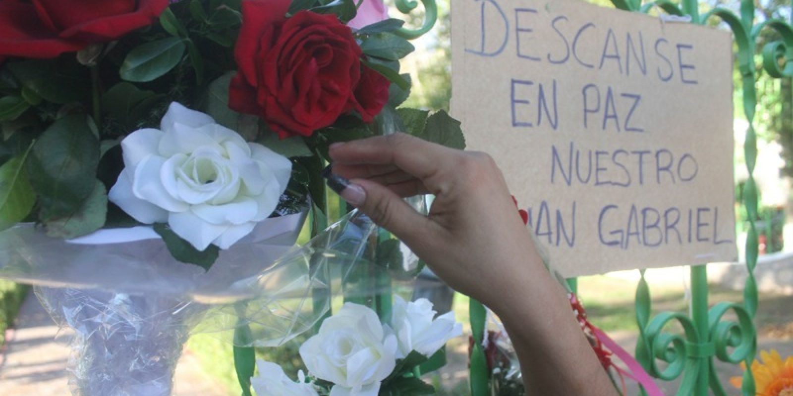 . Imagen Por:
