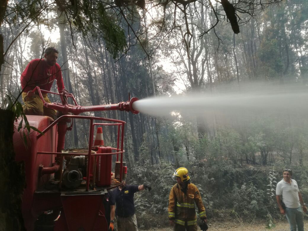 Brigadistas colombianos trabajan en Chile para apagar lso incendios.