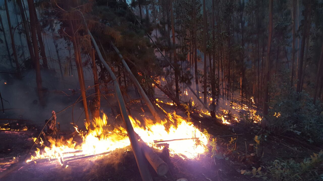 Incendio San Ramón