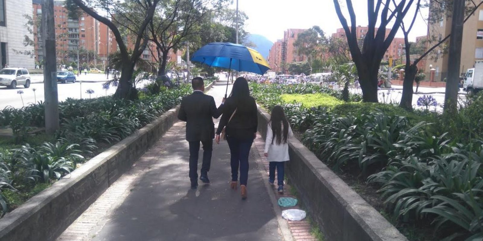 Resultado de imagen para arboles de calles fontibon