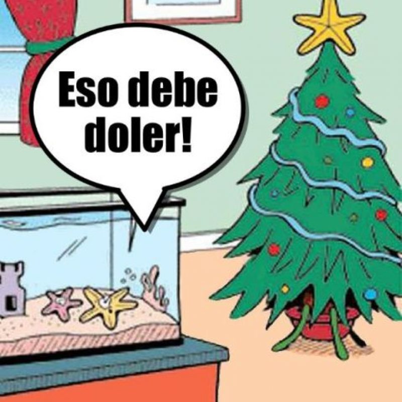¡Los memes navideños más graciosos! | Publimetro Chile