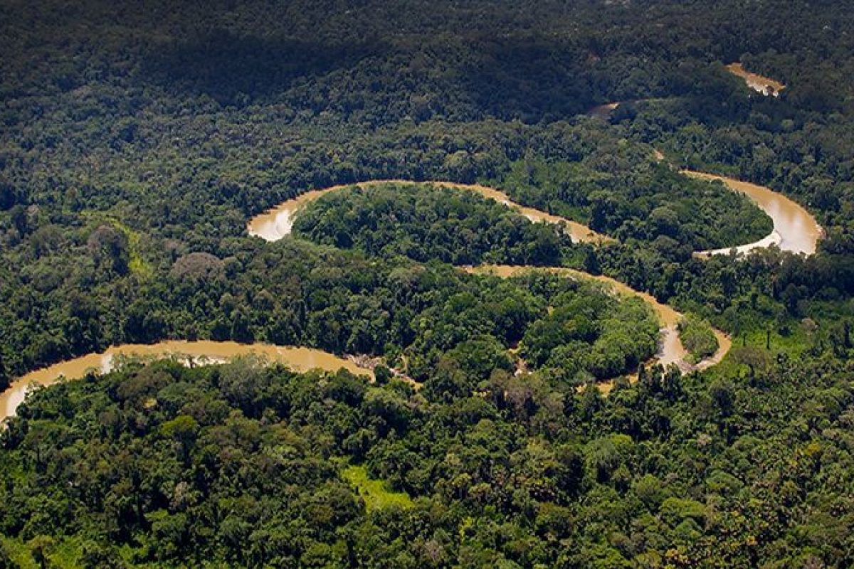 Estudiarán áreas Protegidas Y Territorios Indígenas En Amazonía Metro Ecuador Estudiarán áreas Protegidas Y Territorios Indígenas En Amazonía Metro Ecuador