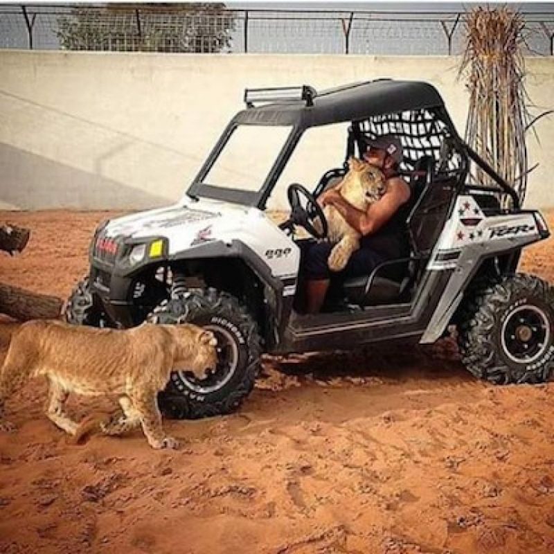 Narcogram Traficantes mexicanos presumen sus lujos en Instagram Publinews