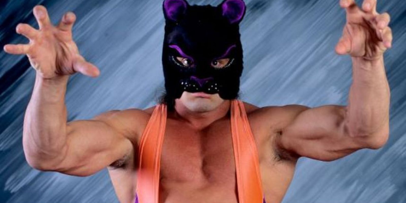 Resultado de imagen de battle kat