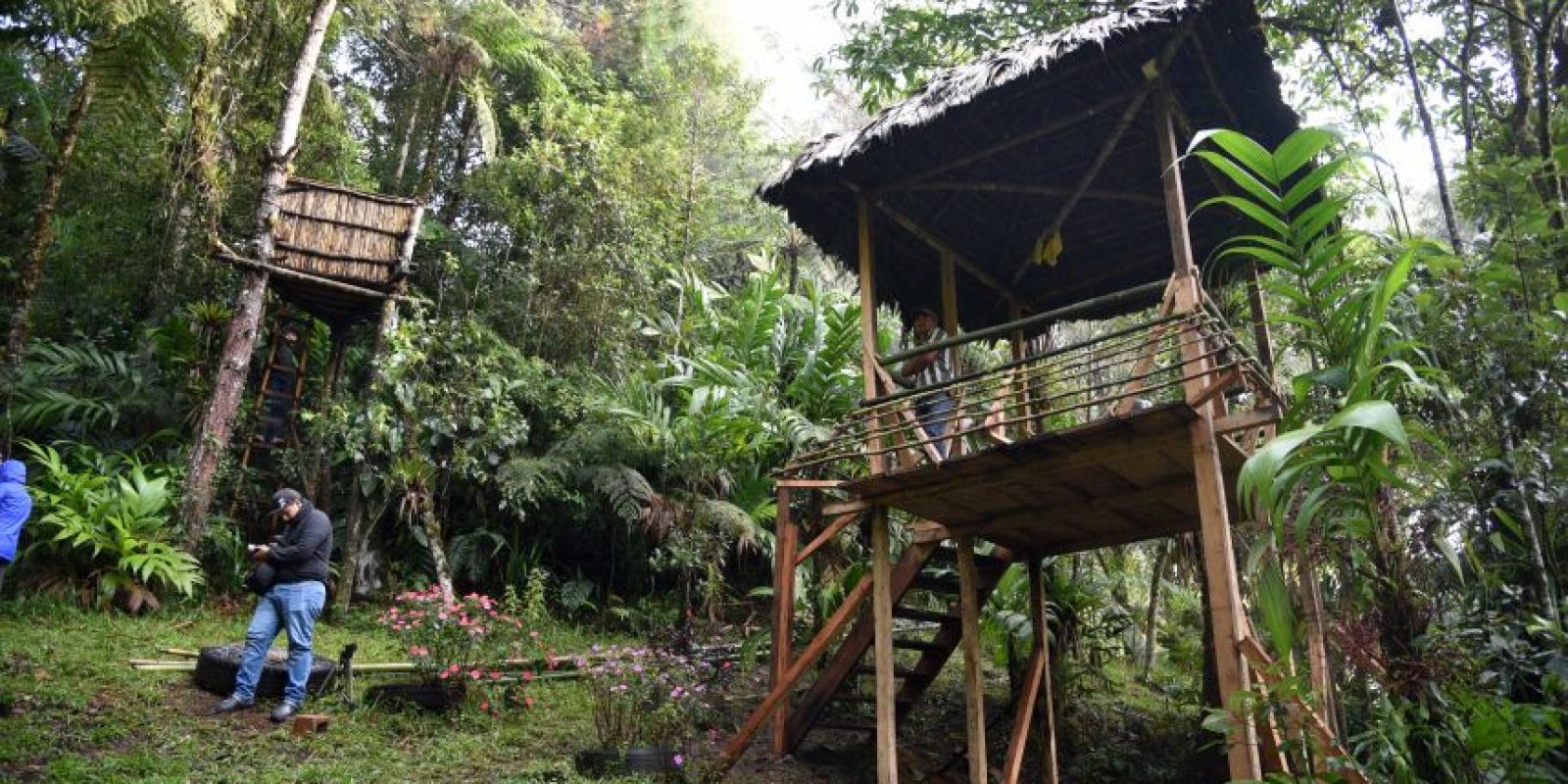 Un recorrido por la Mansión del Pájaro Serpiente | Publinews