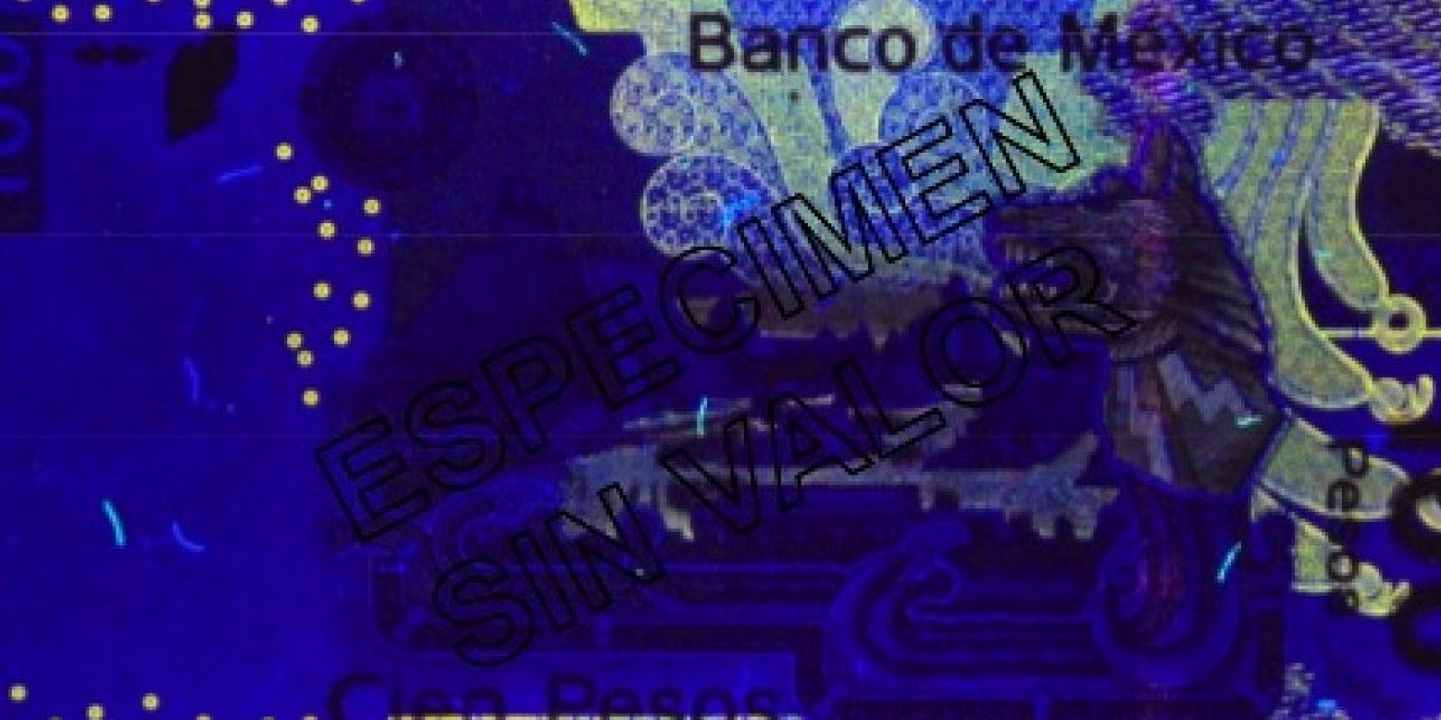 Probador lámpara dinero falso billete revisor luz negra prüfstif lámpara