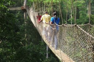 Canopy Walk, Ghana Foto: Tomada de internet