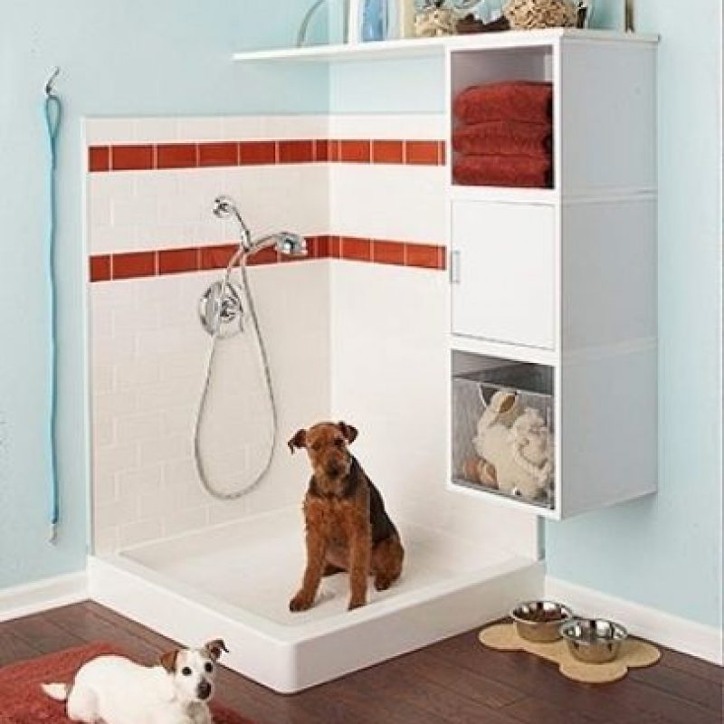 FOTOS: Cosas que desearías tener en la casa de tus sueños | Publimetro