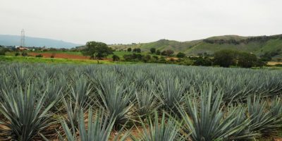 Mujeres solteras en maluenda Mujeres solteras en maluenda