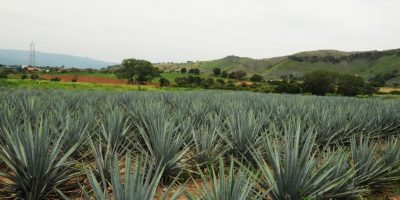 Mujeres solteras en maluenda