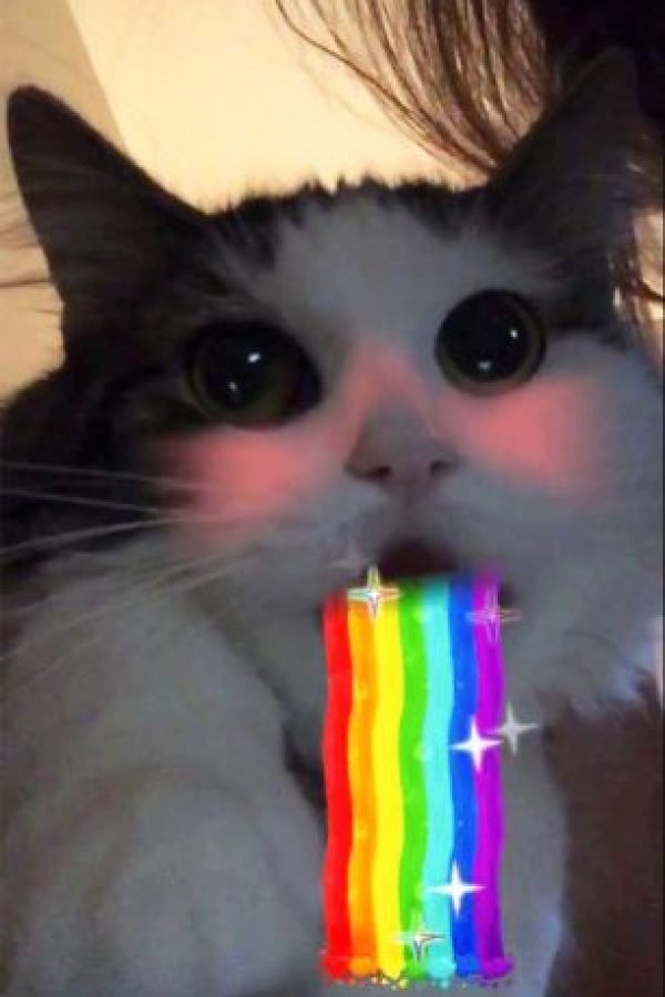 snapchat checo azotar snapchat checo azotar
