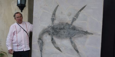 En Saltillo, presentan al mundo una nueva especie de reptil marino