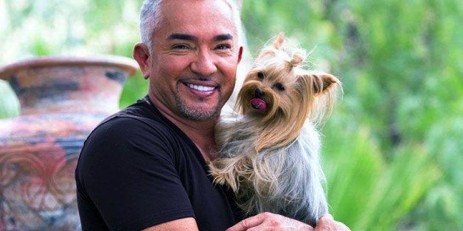 Cesar Millan Como Entrenar A Tu Cachorro