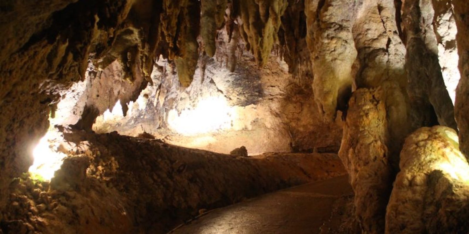 Las Cavernas de Camuy una maravilla antigua y natural Metro