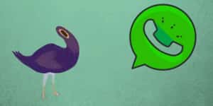 ¡Por fin! Los stickers llegarán a WhatsApp